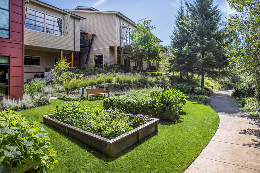 chef's garden