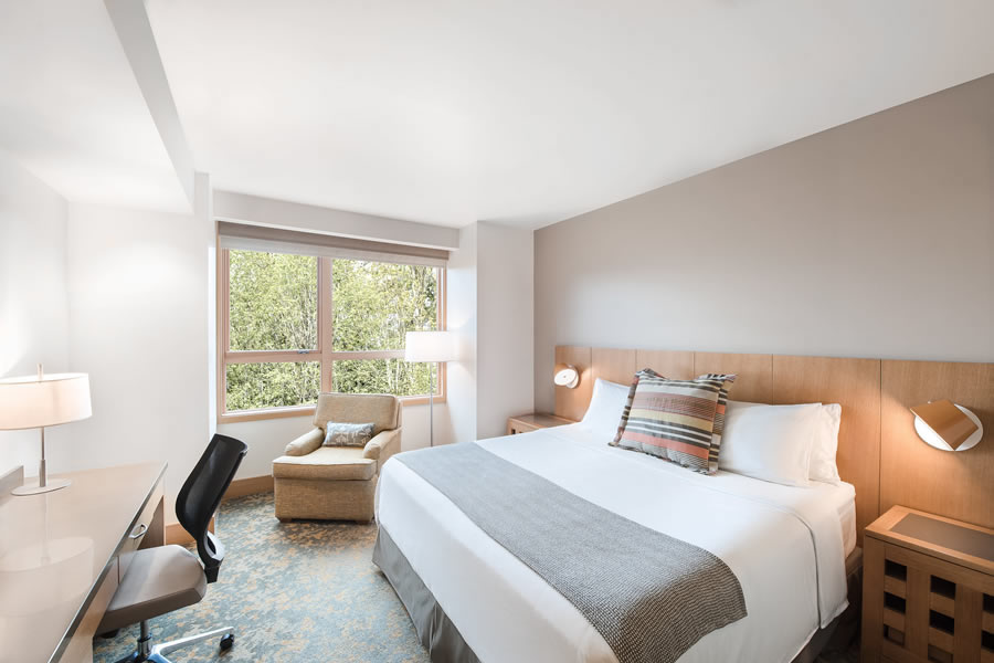 deluxe king guestroom