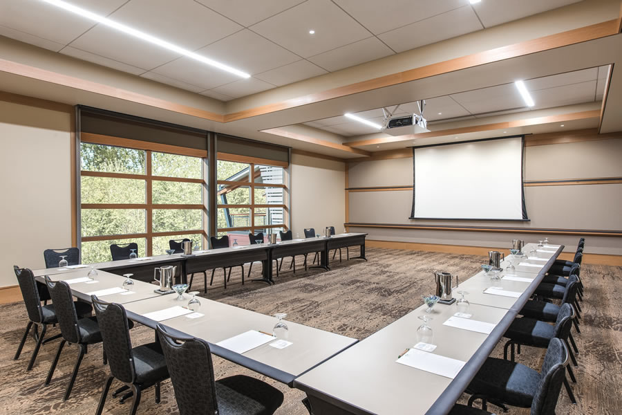 Lily meeting room