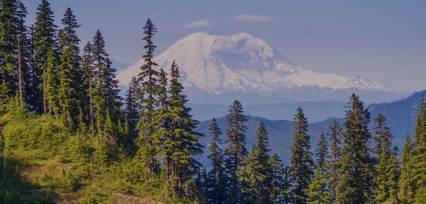 Mt. Rainier