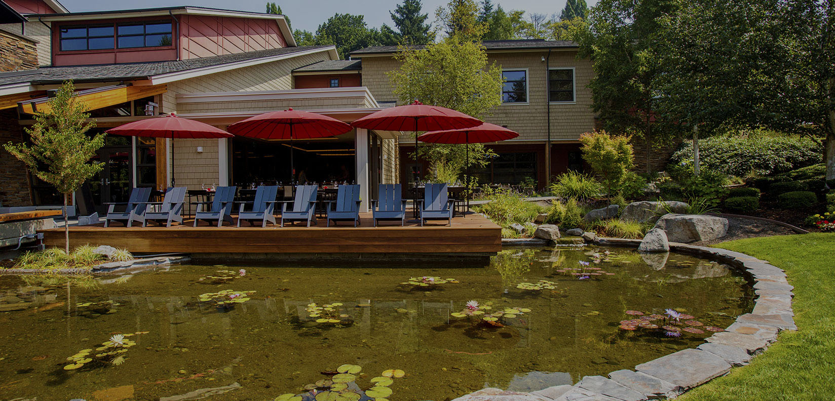 patio and pond